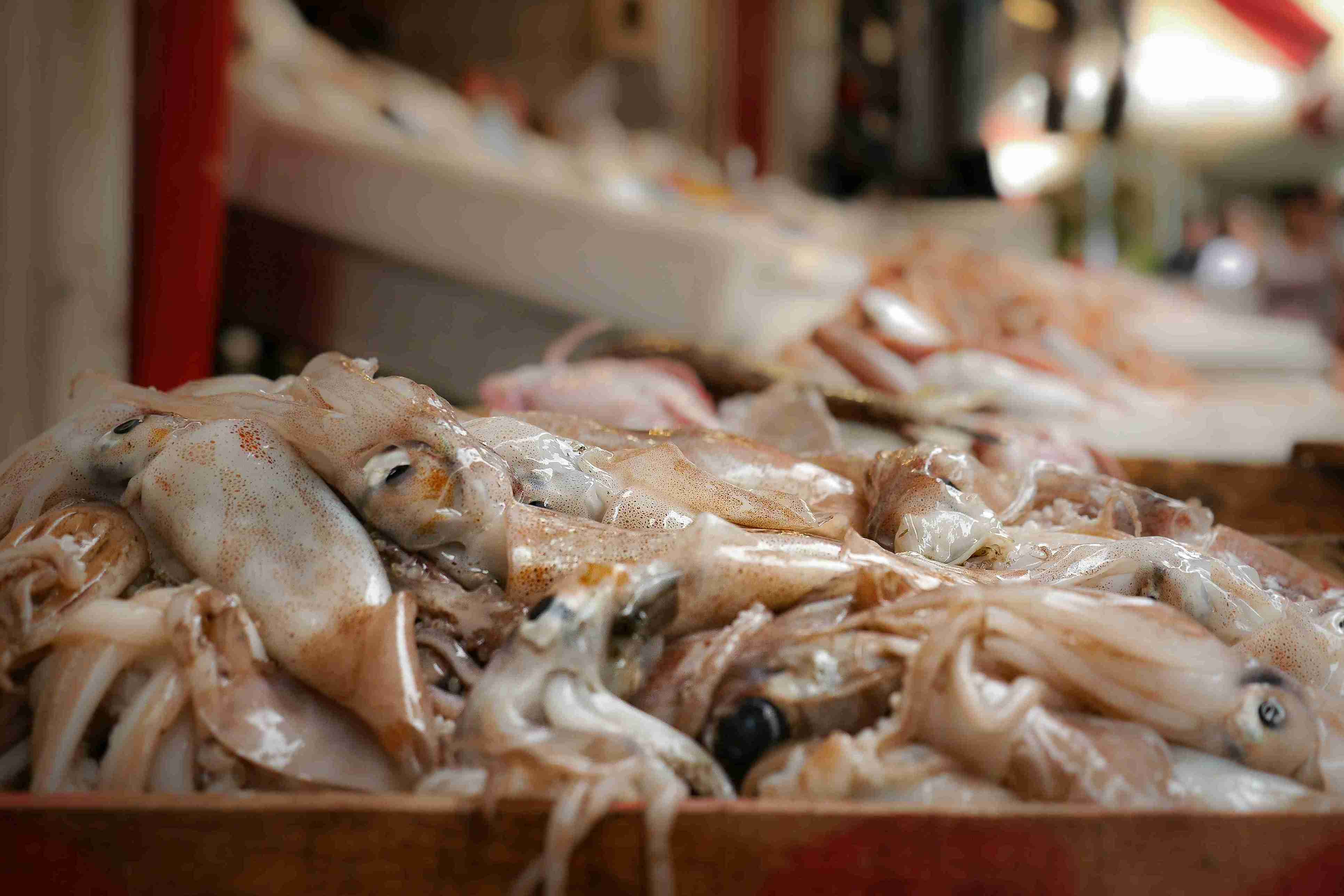 Viral Tren Kuliner Thailand Squid Shots Apakah Berbahaya?