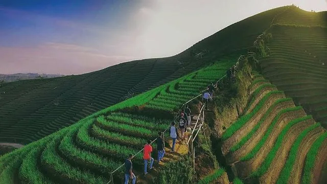 Terasering Panyaweuyan yang Menakjubkan di Majalengka